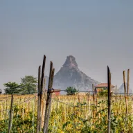Pointed karst peak behind a field with bamboo poles