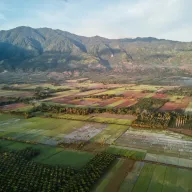 Wide valley with rice fields in front of mountains