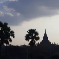 Silhouettes of palm trees and a temple at dusk